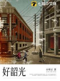 轮回塔免费阅读